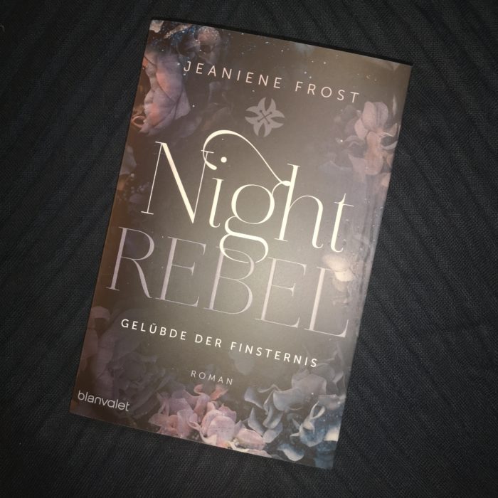 Night Rebel 3 Gelübde der Finsternis